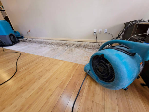 Reliable Basement Flood Cleanup contractor in Pineville, PA by Hirex Water Damage