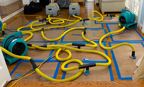Professional Basement Flood Cleanup technician working in Pineville, PA